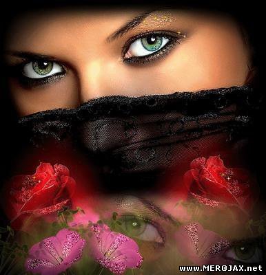 21dea0fd916684544613642