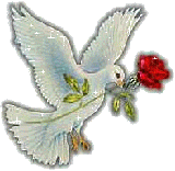  01  1 14994.gif 160 160 256 60000 0 1 0